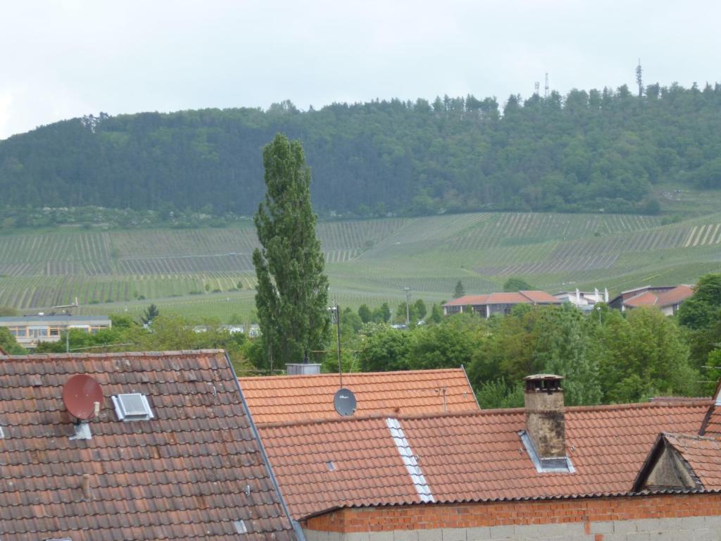 Hotel Garni Zum Hirschen อิปโฮเฟิน ภายนอก รูปภาพ